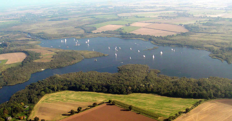 bartonbroad